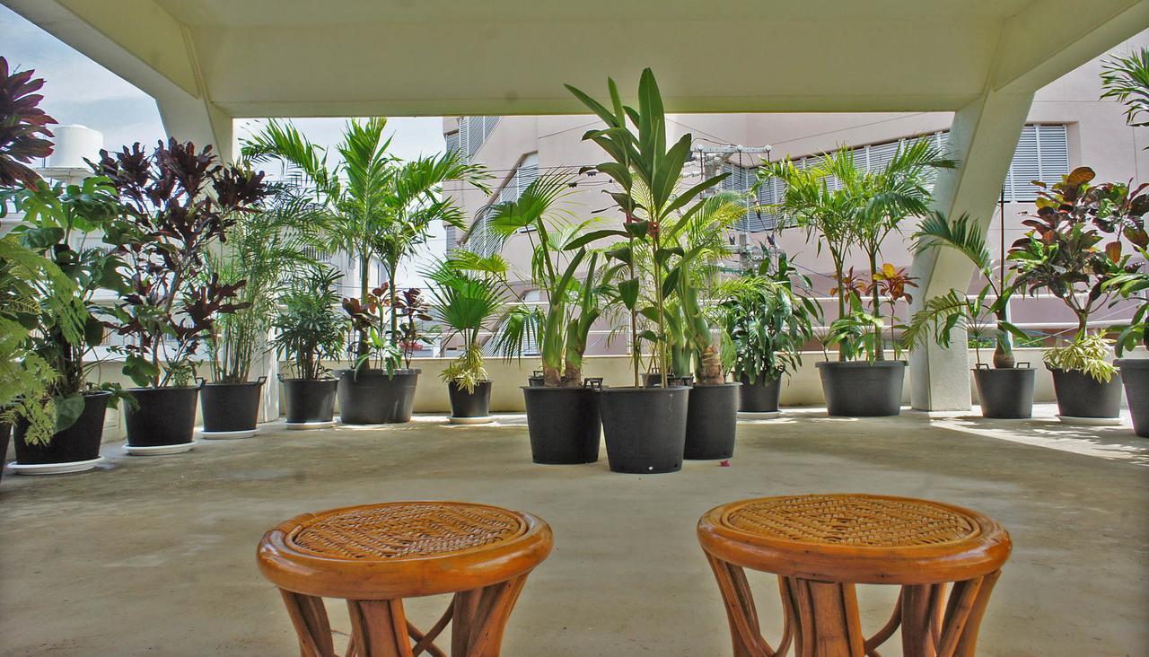 Tomonoya Ishigaki Ishigaki (Okinawa) Exterior foto